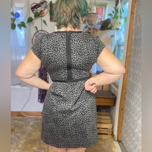 Loft Black & Gray Leopard Print Fit & Flare Dress Size 0 XSmall - Picture 5 of 17